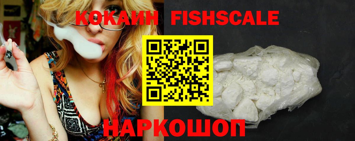 Cocaine Fish Scale Зима