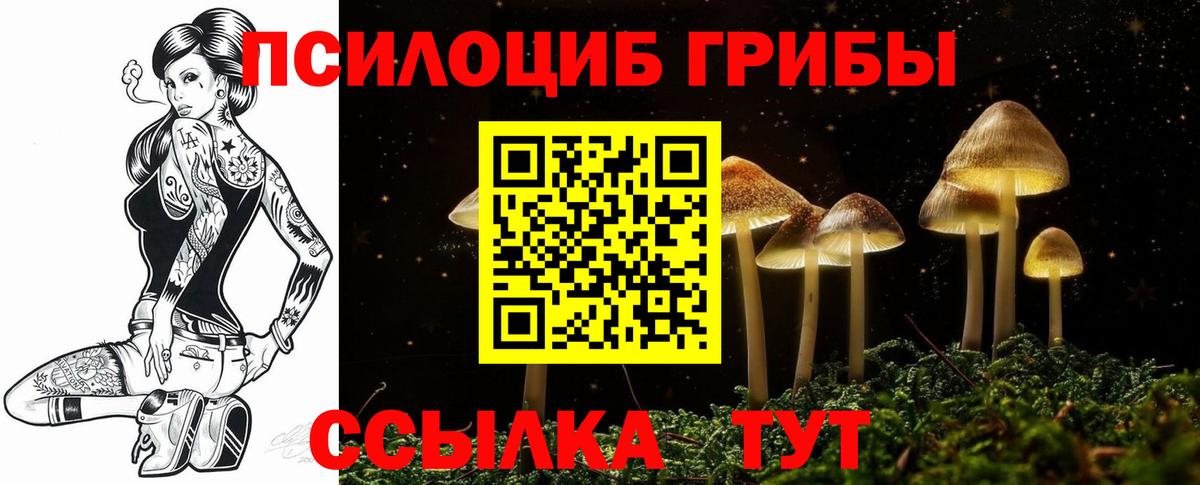 Галлюциногенные грибы мицелий  Галлюциногенные грибы Psilocybe  Зима  Вход с VPN 